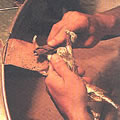 Ponçage aux toiles abrasives