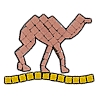 Magnet kit  (Camel)